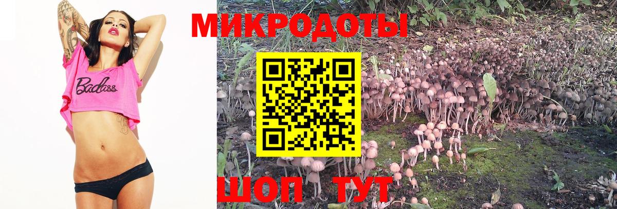 Псилоцибиновые грибы Psilocybine cubensis  Псилоцибиновые грибы Psilocybe  Вход с VPN  цены   Балтийск 